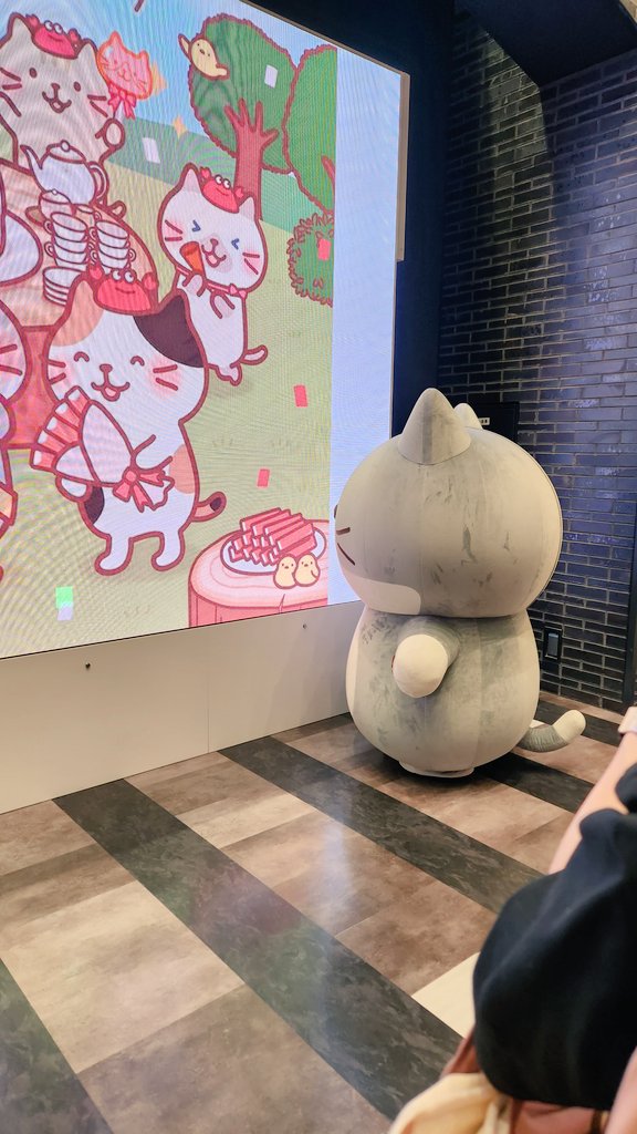 うさぎのしっぽｖ～ハッチ推しの、ふくにゃんず♥️～ tweet media