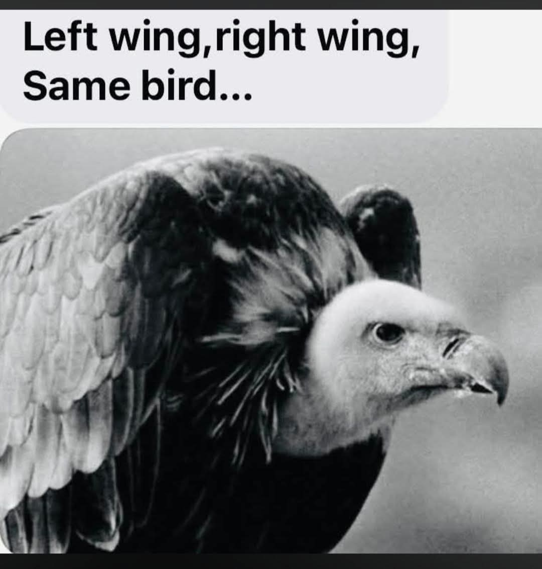 Libertarian Party of Pinellas County tweet media