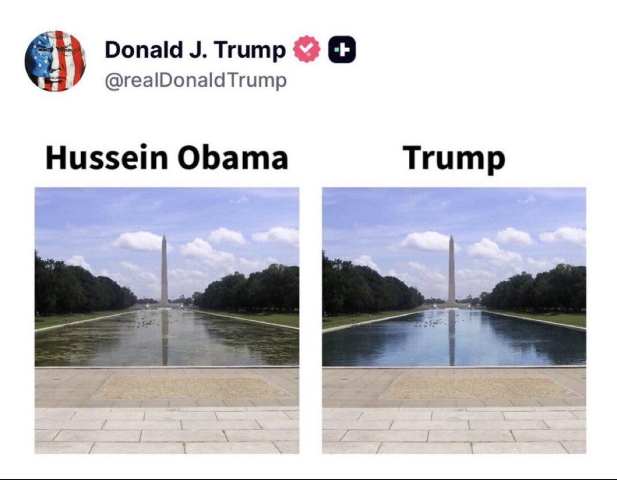 Brian Krassenstein tweet media