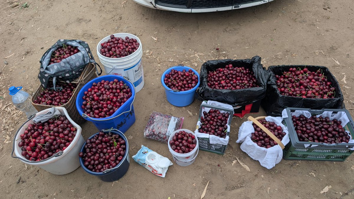 y'allternative tweet media