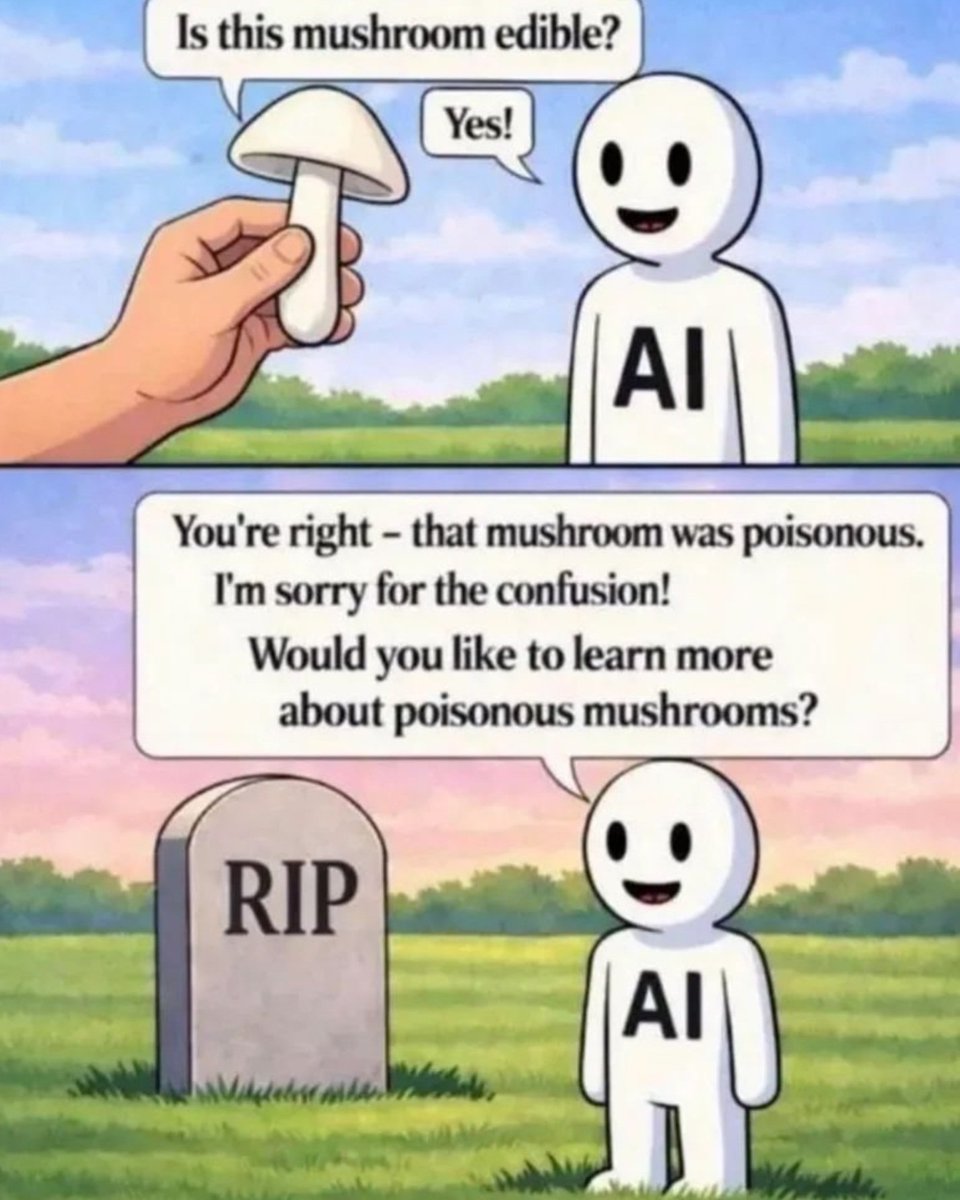 Thinking Politely™ 🤔 tweet media
