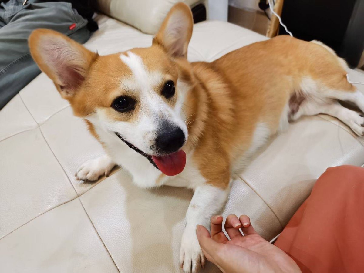 Luca Bosen tweet media