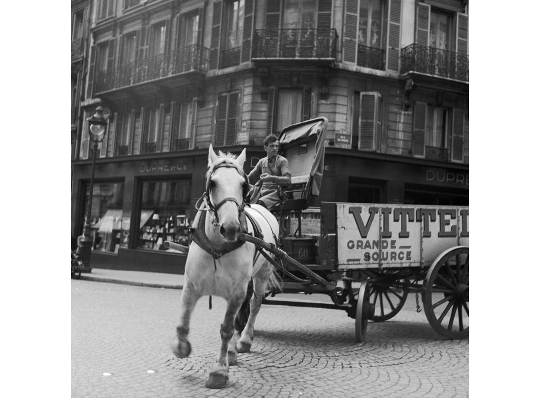 jechoppin's tweet photo. Vittel Horse Wagon, Paris, France September 7, 1950
📷 Benjamen Chinn #BenjamenChinn https://t.co/digvHkpEm8