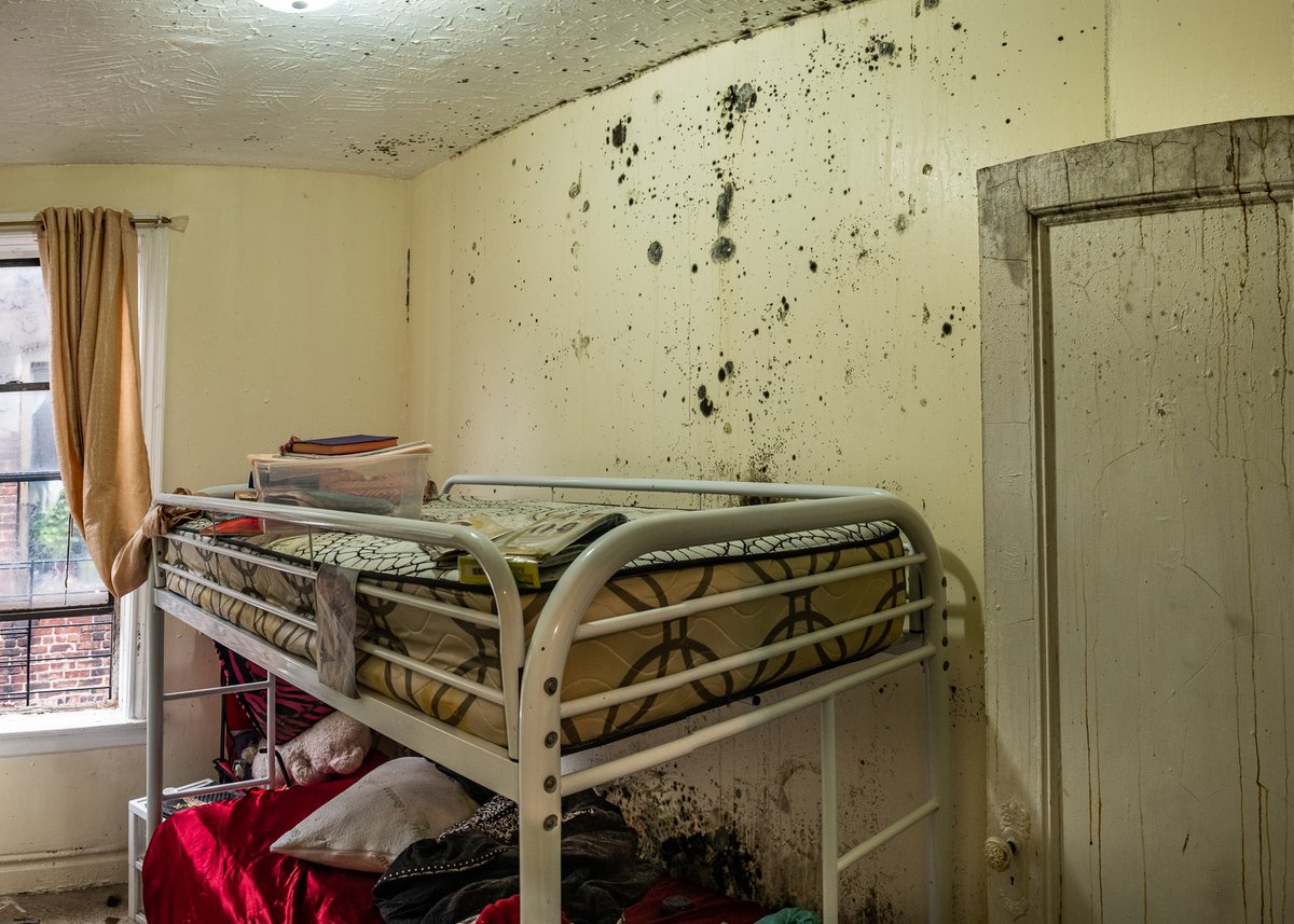 Democrats Deliver tweet media