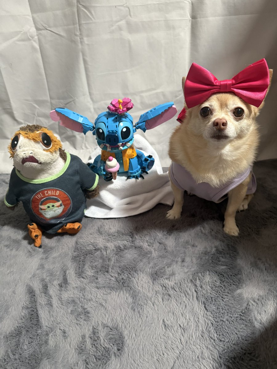 🧚🏻‍♀️🎀 Tinkerbell 🎀🧚🏻‍♀️ tweet media