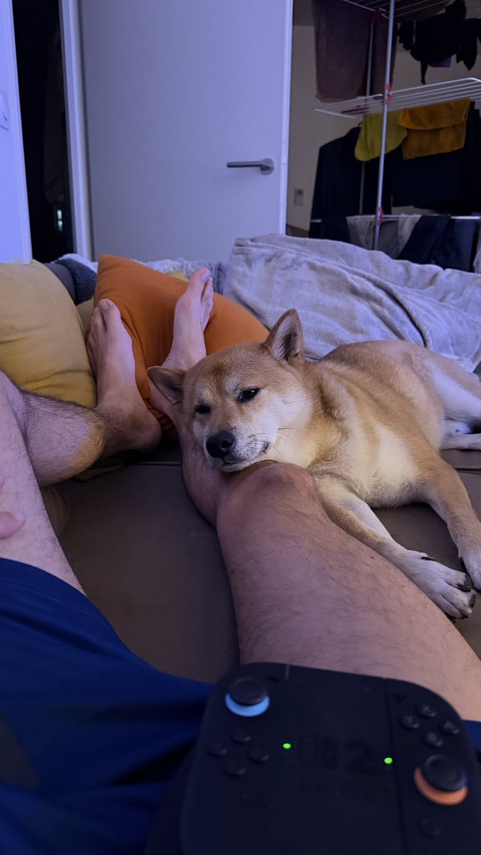 Alex 🇪🇸 tweet media