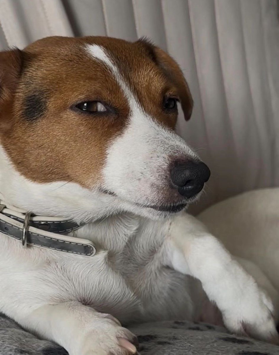 FēⓂ️ë tweet media