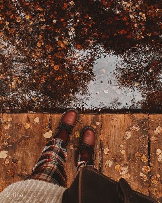 thespookygirll's tweet photo. i can smell the crisp fall air in this picture 🌧️🍁🍂 https://t.co/keUzAm6tIp