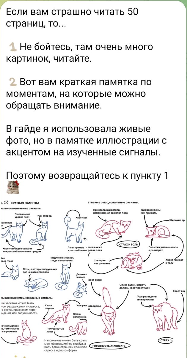 Доброхвост - благотворительный проект tweet media