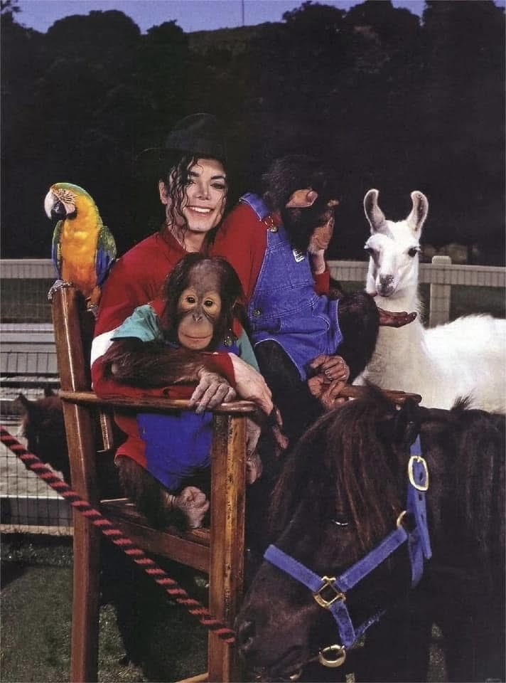 Nathan ✌︎︎ tweet media