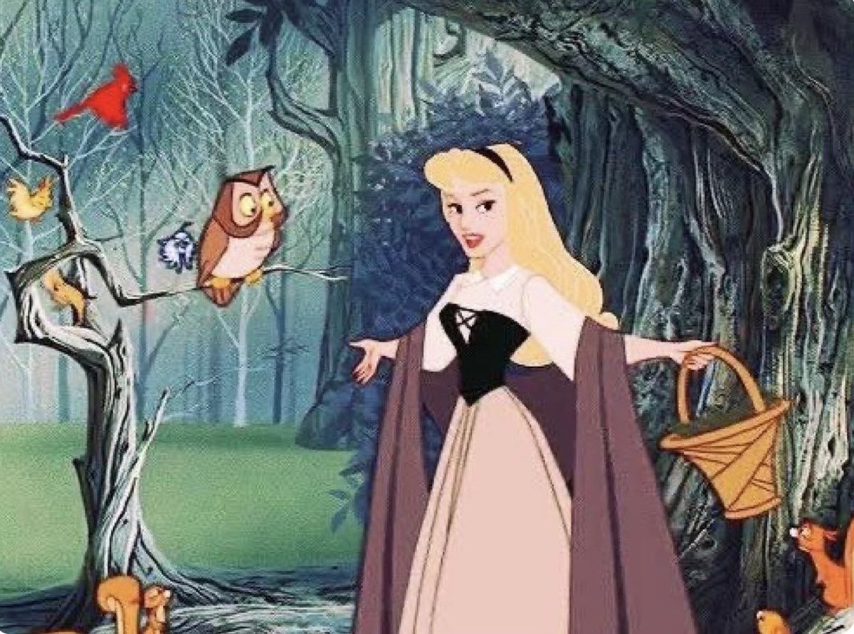 El Guarromántico tweet media