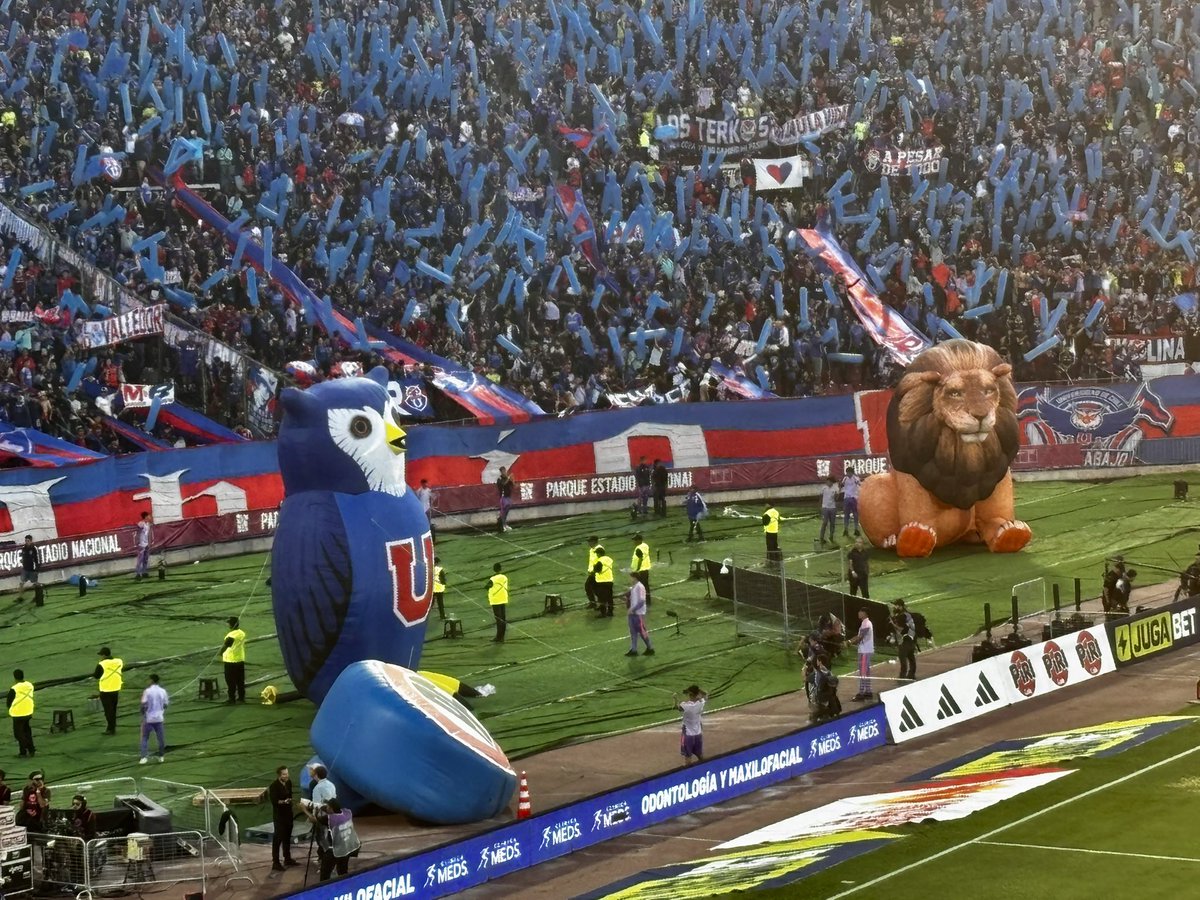 Cristián Briceño 🤿🐠 tweet media