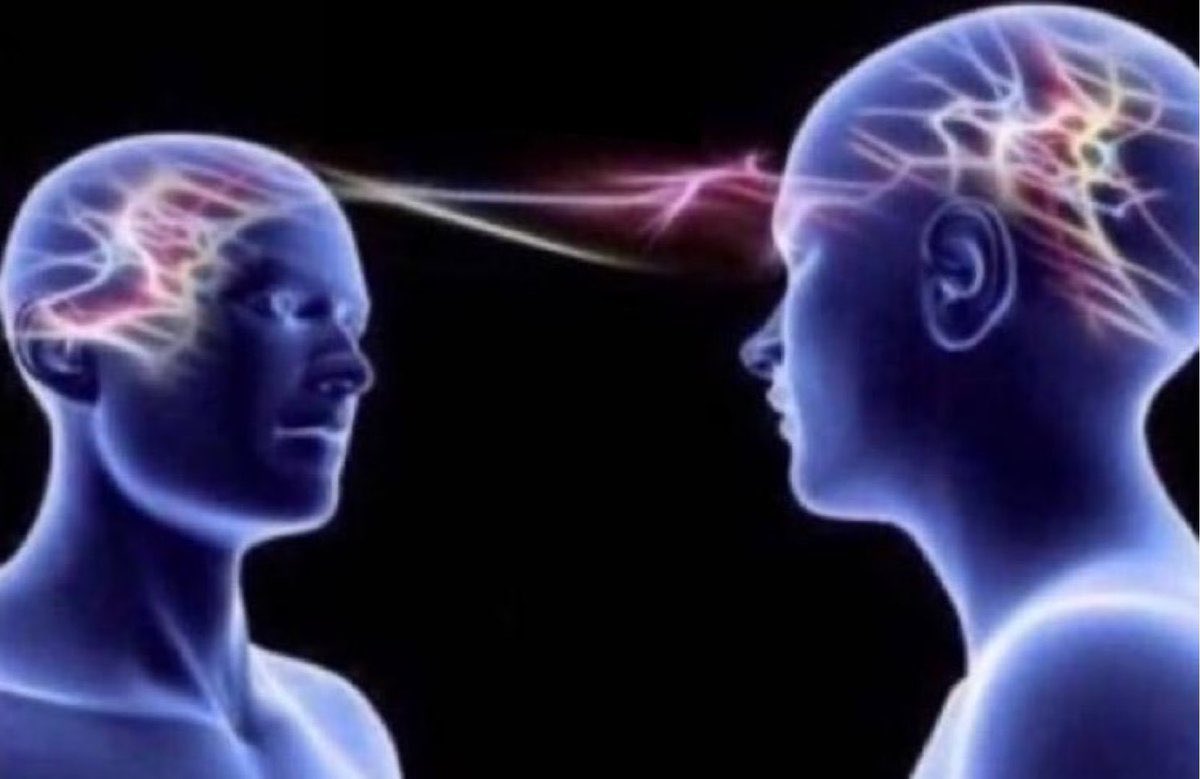 capivara lobisomem tweet media