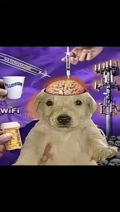 capivara lobisomem tweet media