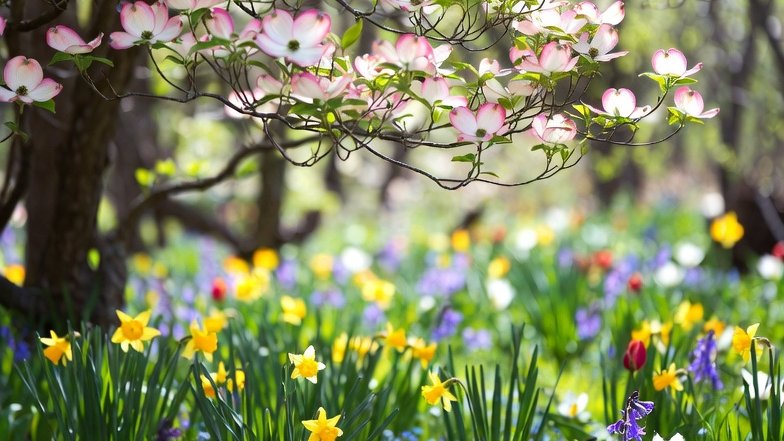 ProjectTicToc's tweet image. May's palette
Feast for winter eyes
Grayscale flees

#HaikuChallenge (palette) #haiku #WritingCommunity