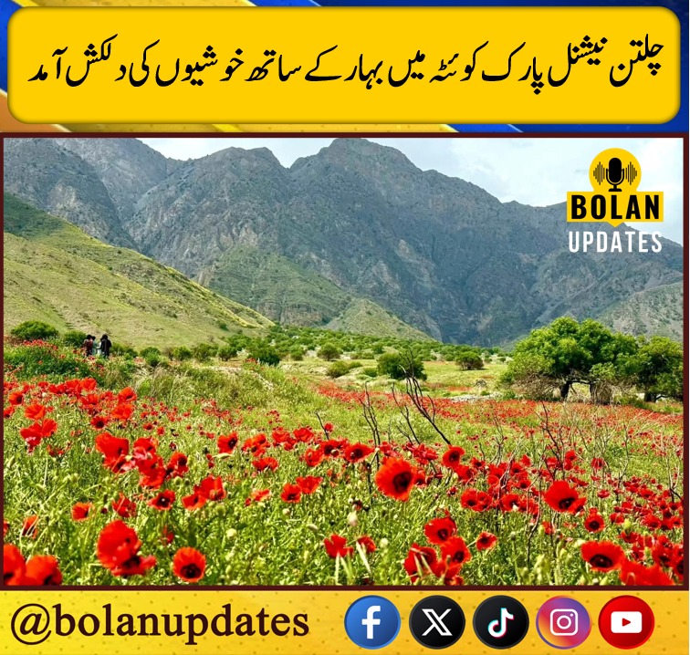 Bolan Updates tweet media