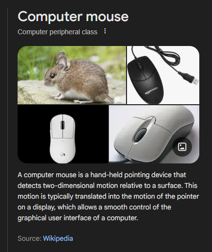 michelle tweet media