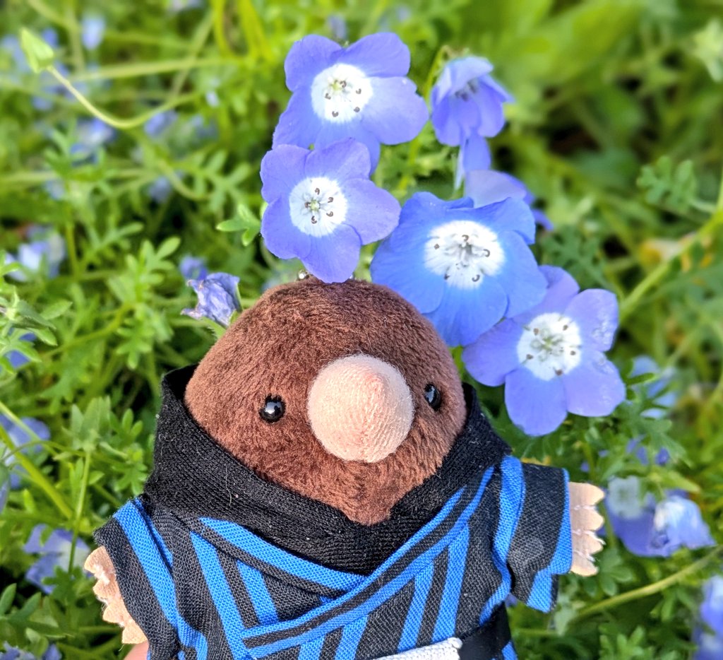 ふじつぼ tweet media