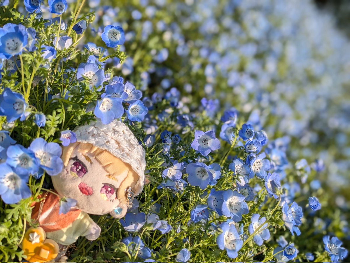 ふじつぼ tweet media