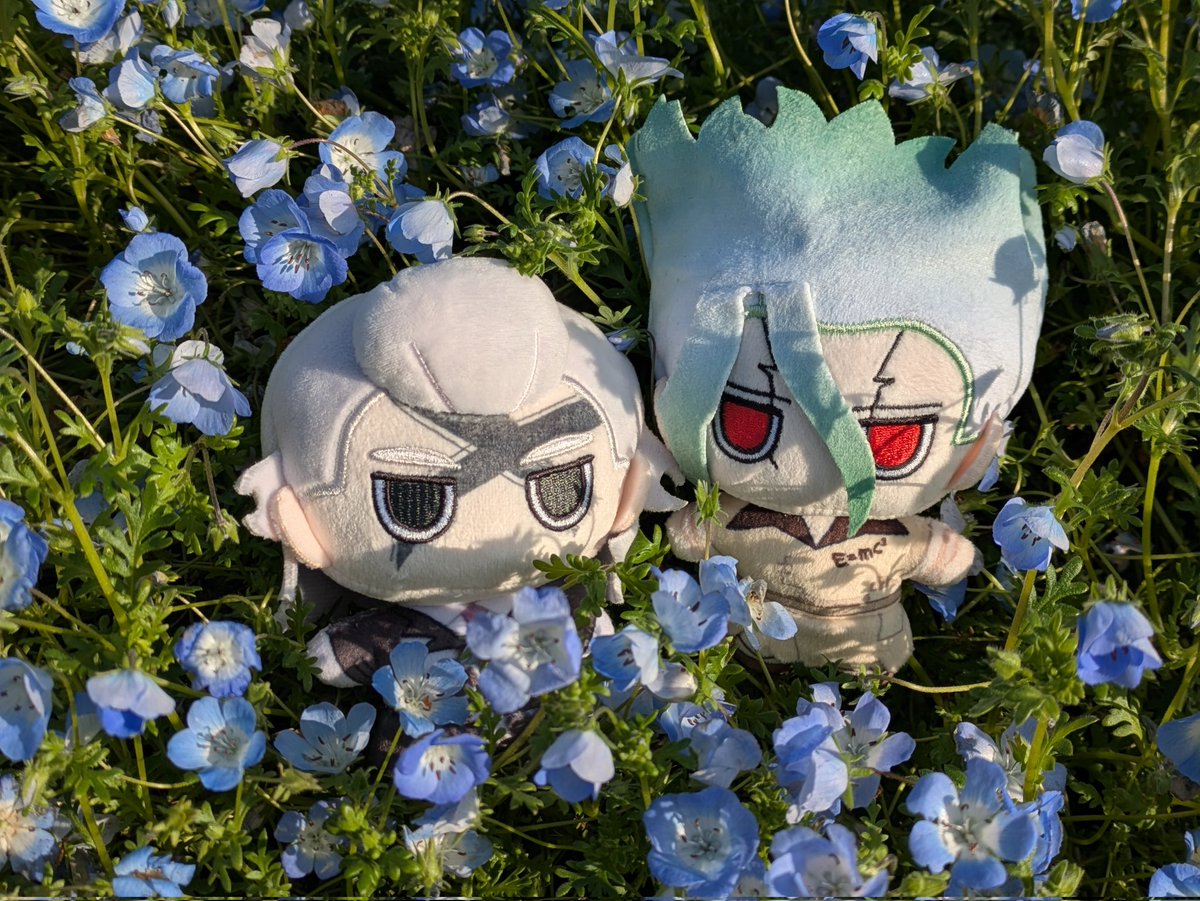 ふじつぼ tweet media