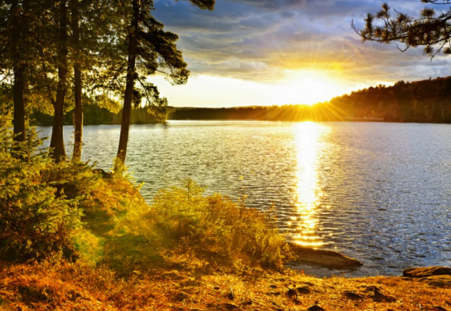 ShannonHypnotic's tweet image. Trauma is stored as raw emotion and somatic memory, not logic. Relying solely on talk therapy for trauma is like repainting a wall to cover a water stain. Rediscover your best self through hypnotherapy. shannon-doyle.com/toxic-relation… 
#hypnosis #hypnotherapy #toxicrelationships