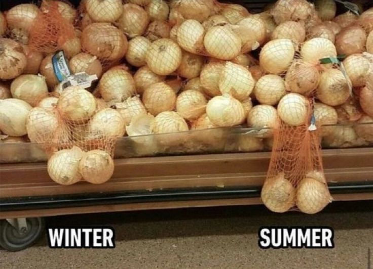 i like food (@messedupfoods) on Twitter photo 