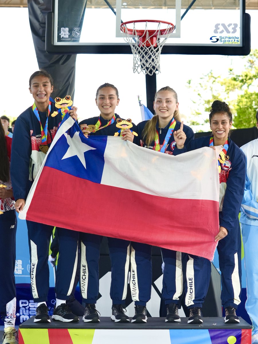 IND Chile 🇨🇱 tweet media