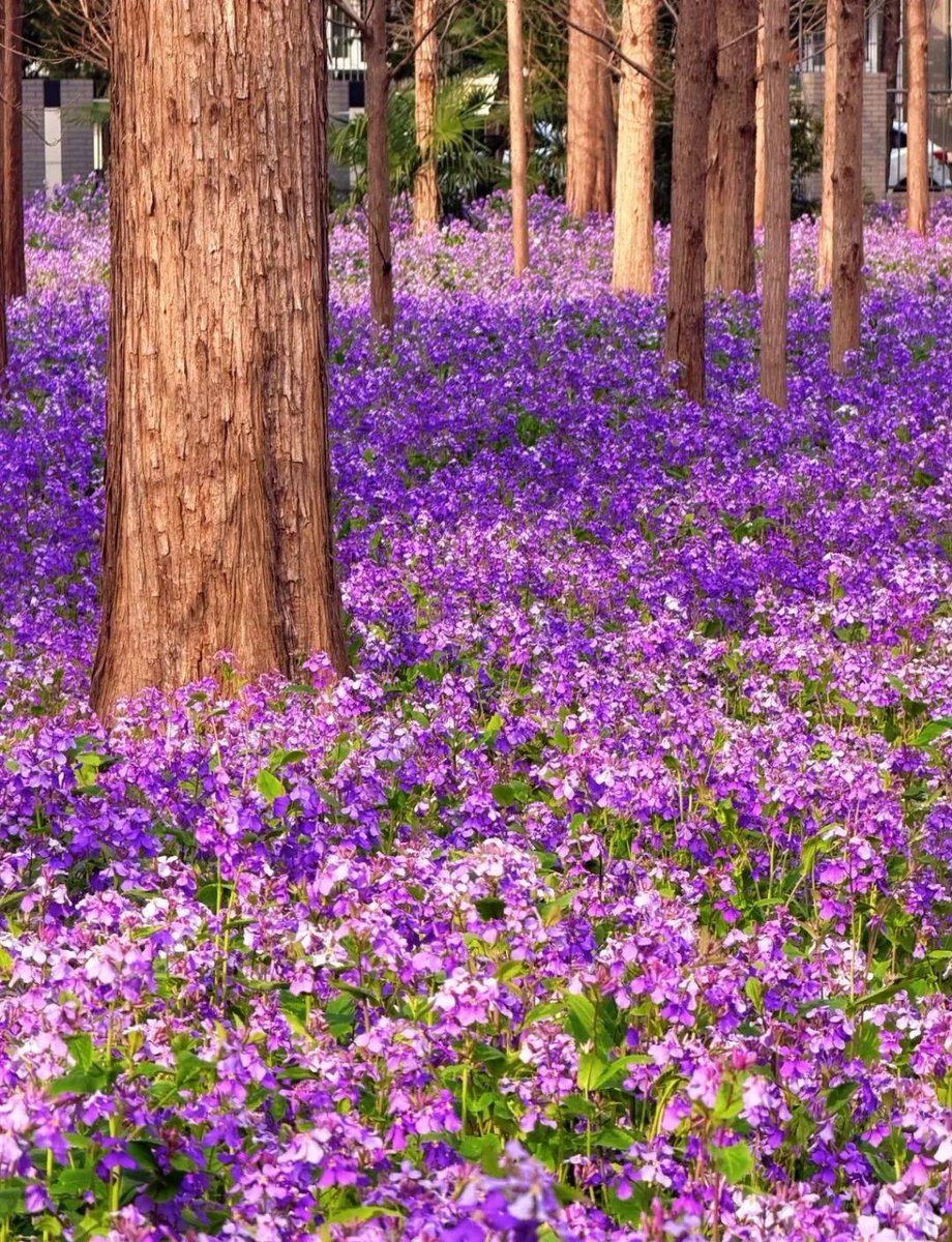 Tajinder Singh tweet media