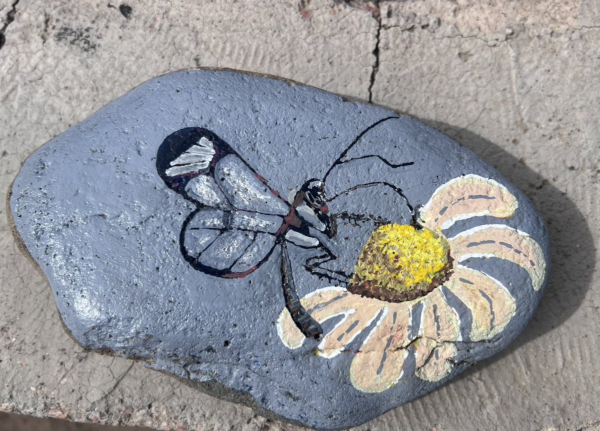 JessicaFey7's tweet image. Finished another rock 🤣 Hope mom’s gonna love it for Mother’s Day. 

#itrocks #paintedstones #beginner