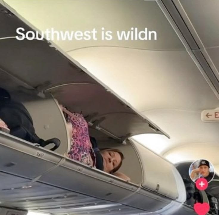 star 💫 tweet media