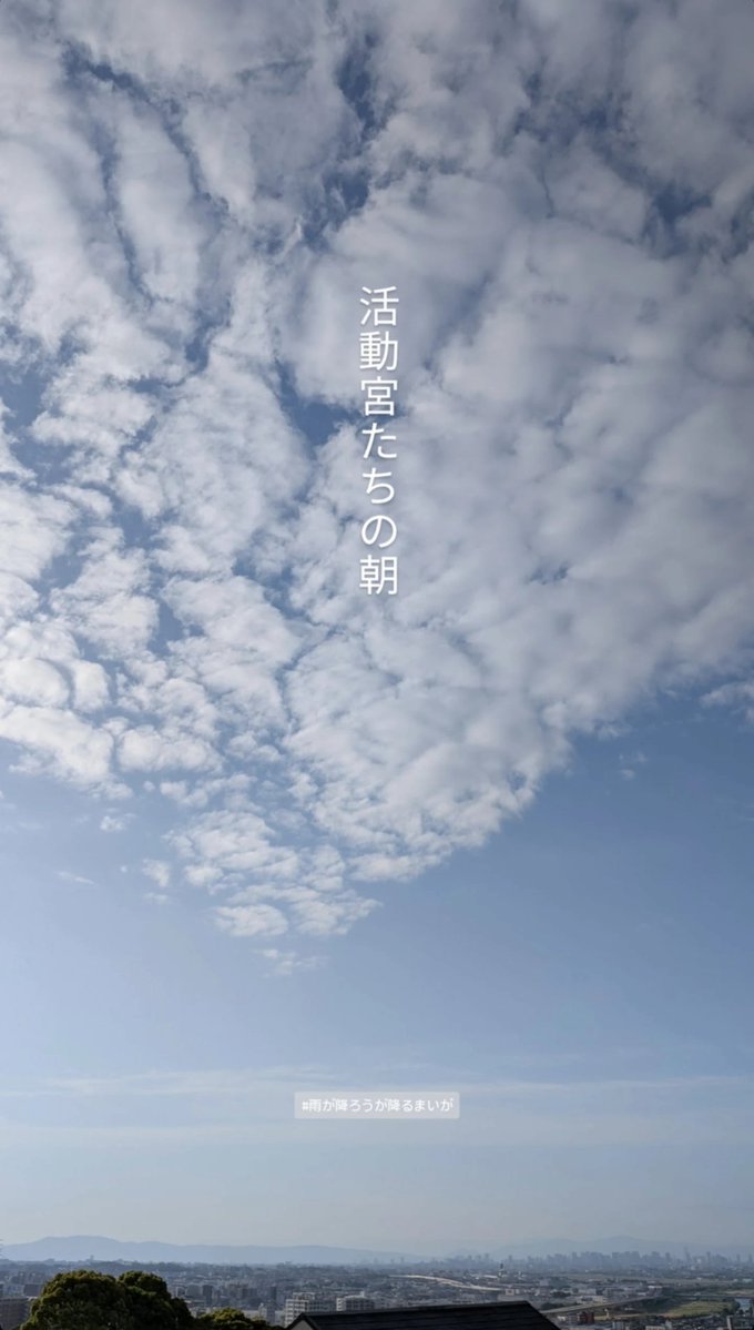 ひろくま tweet media