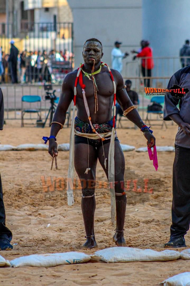 Papis 🇸🇳 tweet media