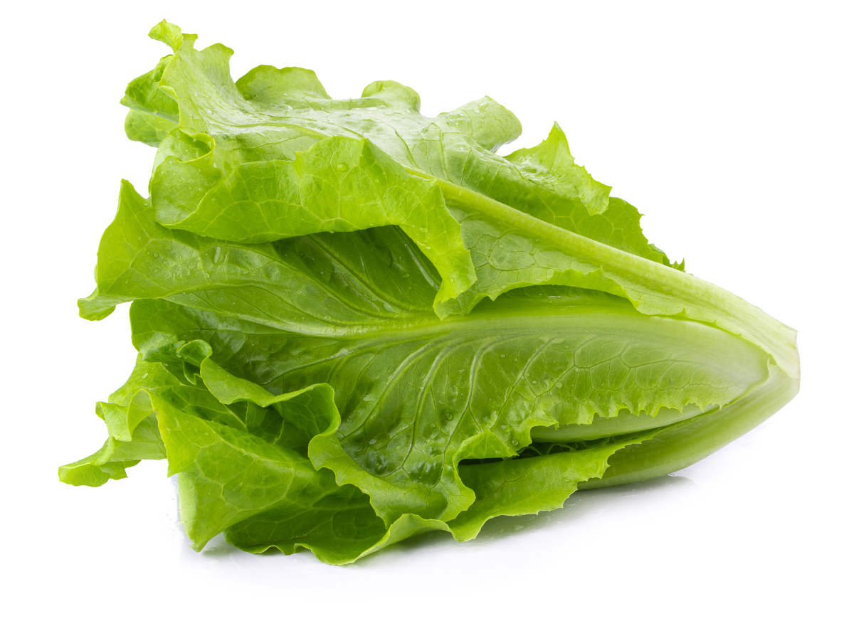 Danielle Lespron tweet media