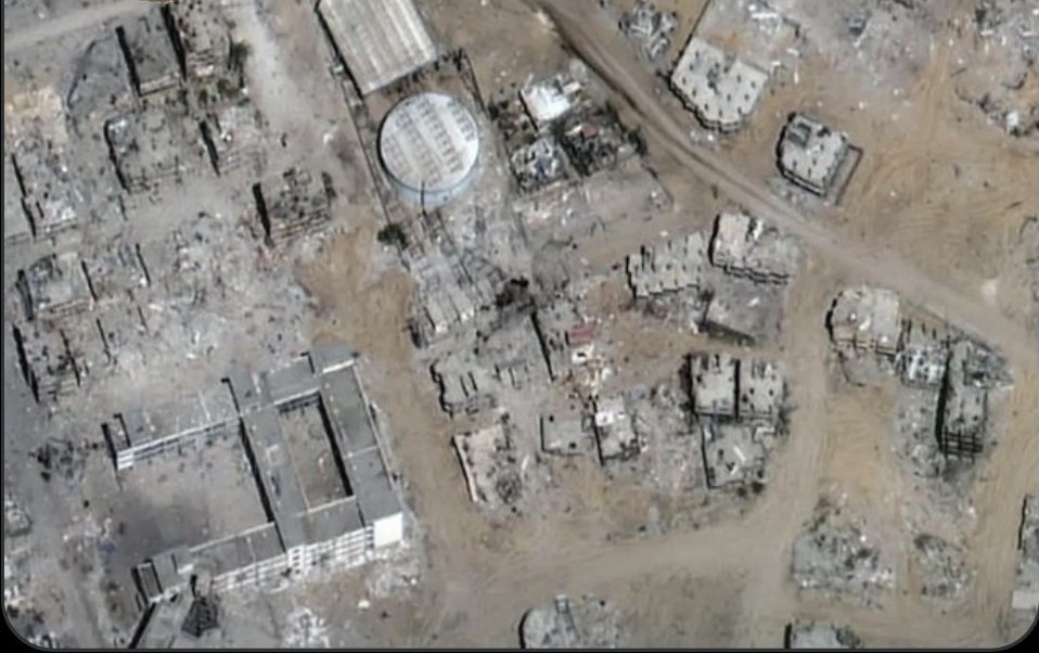 Syrian Girl tweet media