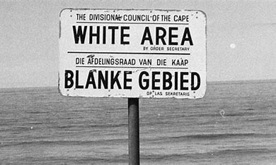 Republican Bus Driver tweet media