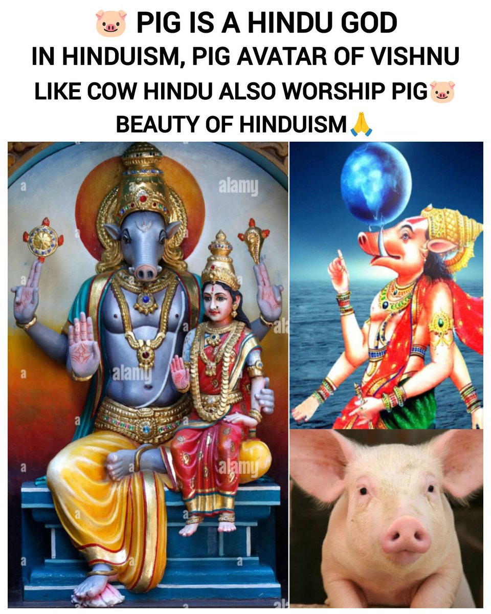 Storm of Inquillab tweet media