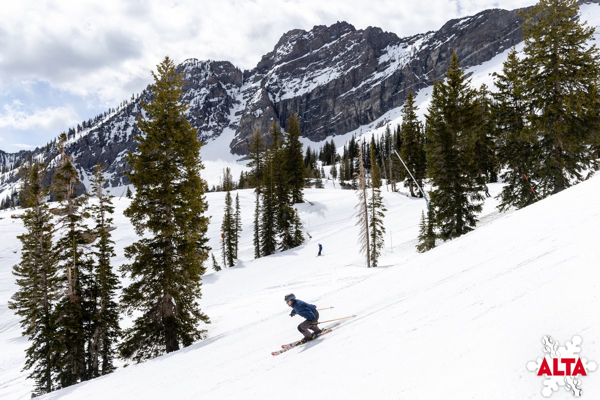 Alta Ski Area tweet media