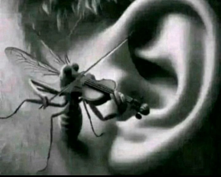 𑁯੭ . nuckz 🪽 tweet media