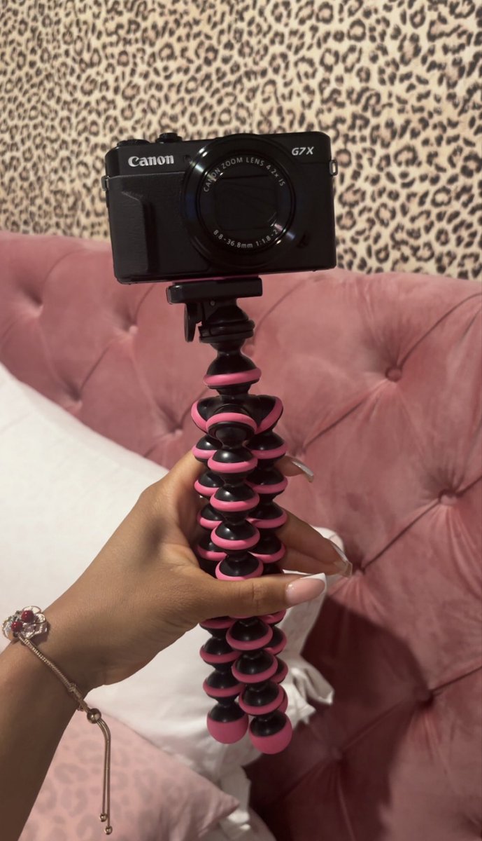 Arianté🍒🐆 tweet media