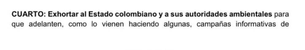 Nataly Castelblanco tweet media