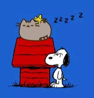 Pusheen parody account tweet media