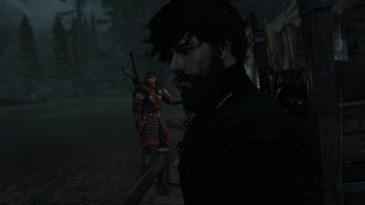 michaeldovah's tweet image. POV: You spent all day waiting for night to fall so you could remove the hood from your face (welcome to the life of a vampire in #Skyrim