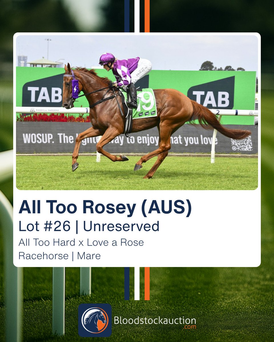 Bloodstockauction.com tweet media