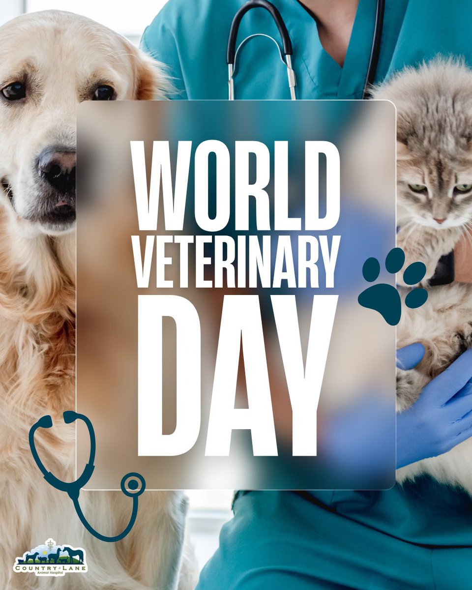 clahstaff's tweet image. Happy World Veterinary Day! From routine wellness visits to complex treatments, veterinary teams are committed to helping pets live longer, healthier lives. We are grateful to serve our community. 🩺🐾 #worldveterinaryday #animalcare #petwellness