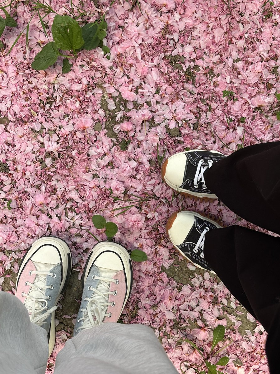 Словоблудница | 🏳‍🌈 tweet media