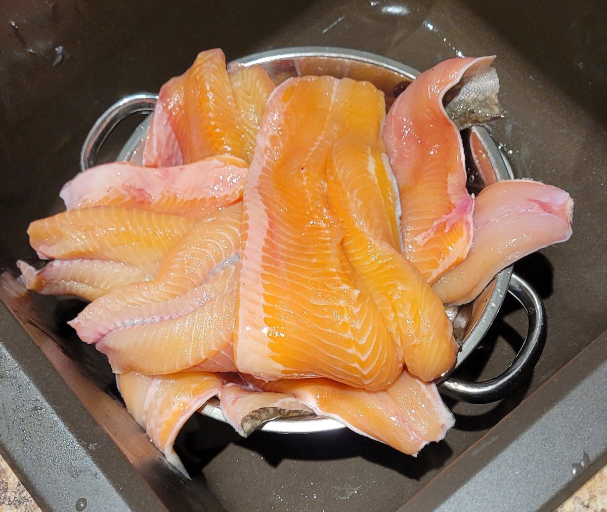 BradleyTim's tweet photo. @SamsHereForFood Shannon, my bro's buddy, Jim, is the captain / owner of that fishing tug and I've been up Lake Superior on it different times. I can't remember catching any salmon on the last trip, but the lake trout and whitefish caught all and turned out beautifully when cooked. #fishdinner https://t.co/5COlDcWkPl