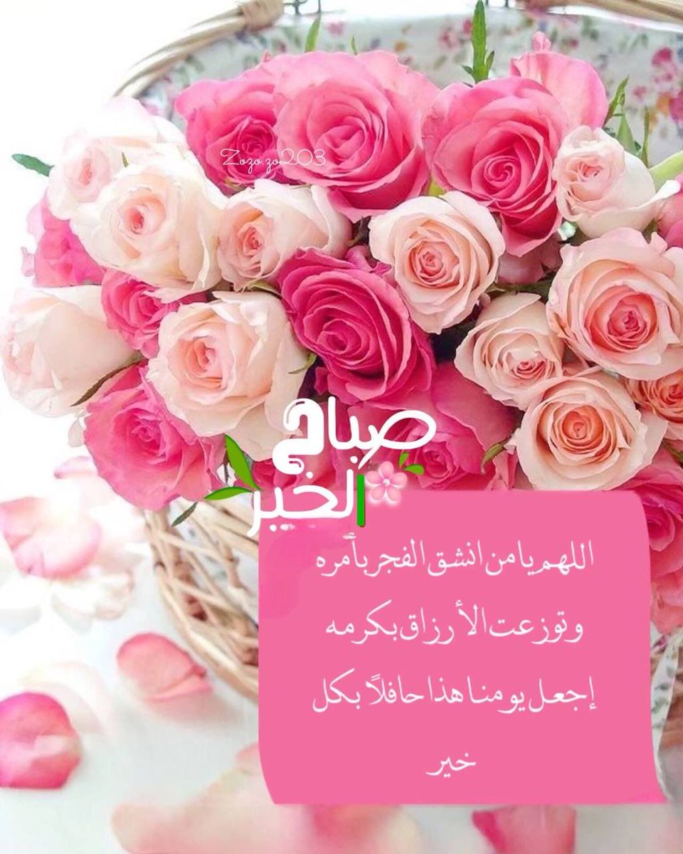 ســ🤍ـــاره tweet media