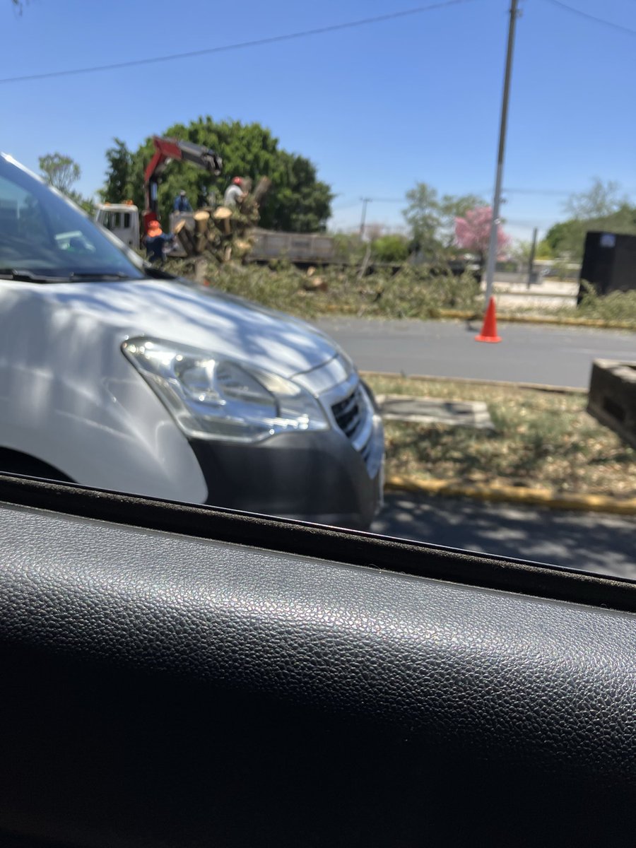 alexan schmidt tweet media