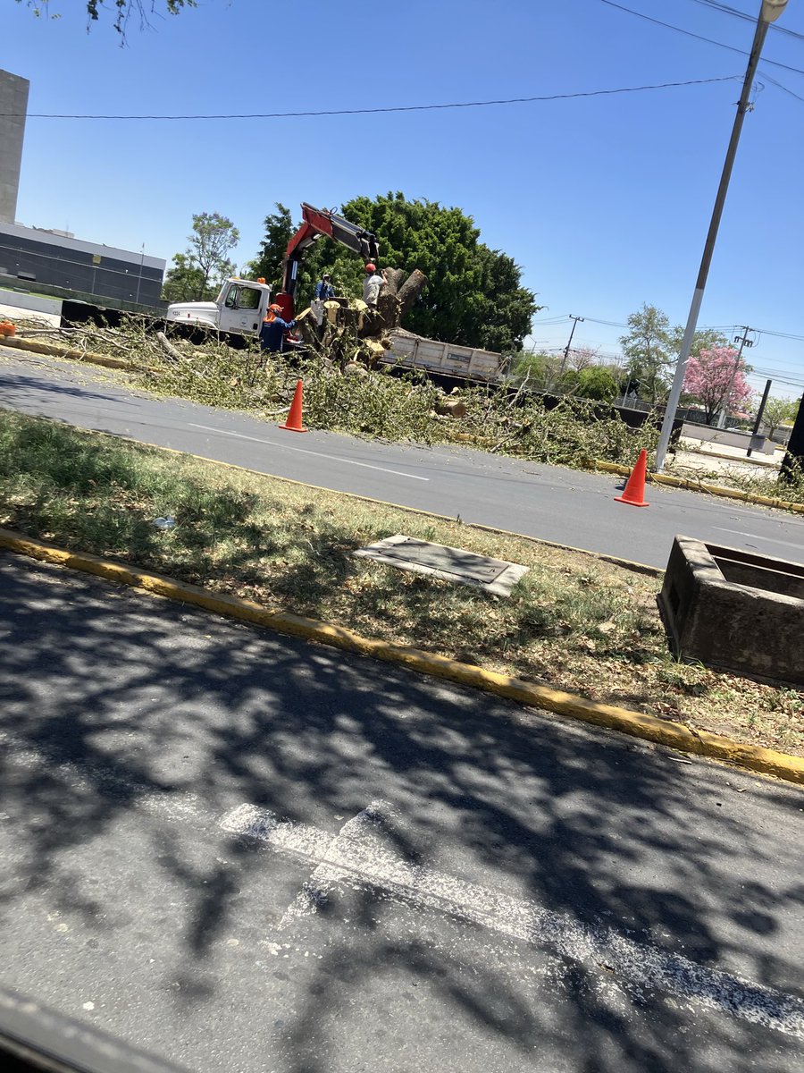 alexan schmidt tweet media