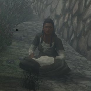michaeldovah's tweet image. What is that girl doing out here in this rain? lol #skyrimse #skyrim